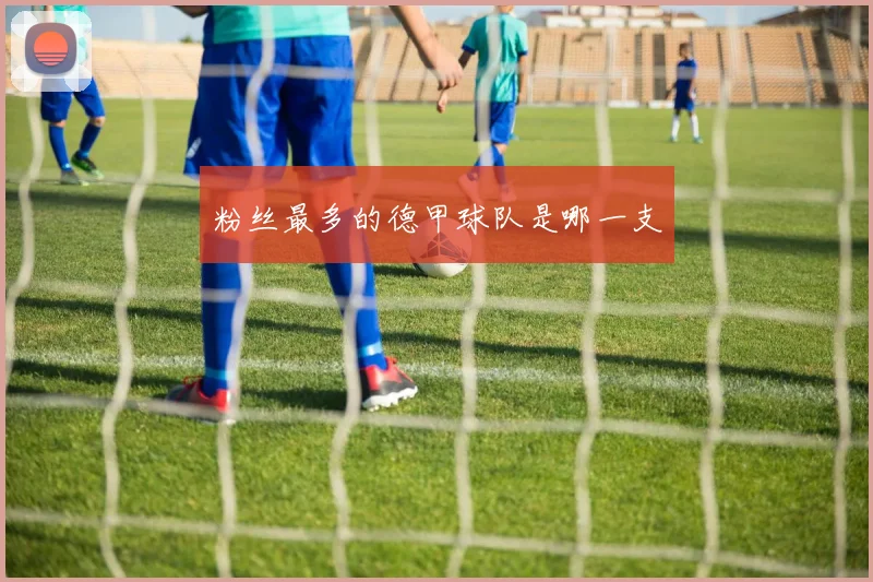 粉丝最多的德甲球队是哪一支